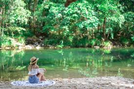 The Daintree Rainforest 7 Reasons You Need To Visit It