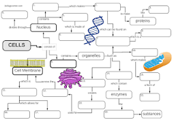 Biochemistry Basics Pogil Answer Key Pdf Cell Graphic Organizer Biology Worksheet Biology Classroom Teaching Cells