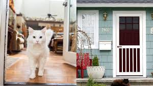 That way she can have the front room, living room, and bedroom, and outdoor boy can have his catdoor room, bathroom and kitchen. 26 Things You Shouldn T Own If You Have Cats Or Dogs Reviewed