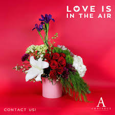 915 n 10th st, mcallen, tx 78501, ee. Ambiance Flowers Rentals 820 N 10th St Mcallen Tx 2021