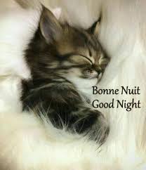 Good Night Kitties Bonne Nuit Chatons... - Ephéméride - Seasonal Calendar