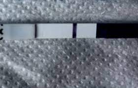 Aber auf der packungsbeilage vom digitalen clearblue test stand. Es 12 Positiv Und Rosa Ausfluss Verunsichert Forum Kinderwunsch Urbia De