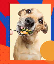 Spot farms is another of the dehydrated dog food brands to earn its place on our list. Best Dog Food Brands For High Quality On Every Budget