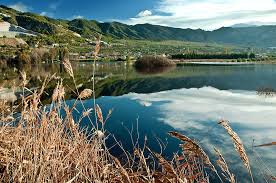 Resultado de imagen de fotos de las lagunas del padul