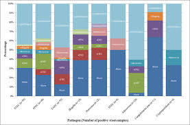 Comparison of stool collection and storage