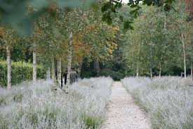 The Nieuwe Ooster Cemetery Garden Of Remembrance By Karres Brands Location Watergraafsmeer Amsterdam Landscape Design Landscape Architecture Landscape