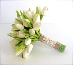 We did not find results for: Image Result For White Tulip Bouquet Wedding Wedding Flowers Tulips Tulip Bouquet Wedding Tulip Wedding