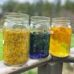 Harvesting Nature’s Colors: Discovering Plant Pigments