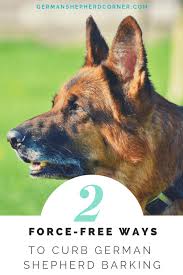Check spelling or type a new query. Stop German Shepherd Barking Problems Once And For All