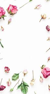 Flower Wallpaper Iphone White Background Support us by sharing the content, upvoting wallpapers on the page or sending your own. flower wallpaper iphone white background