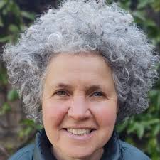 Canterbury local election: The 7 candidates in Chestfield