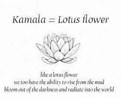 Kamala Lotus Flower Tattoo Meaning Lotus Flower Meaning Flower Tattoo Meanings
