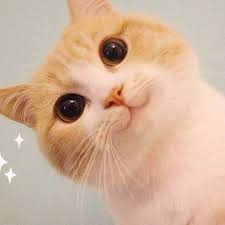 Check spelling or type a new query. à¹à¸¡à¸§à¸™ à¸²à¸£ à¸