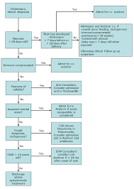 Clinical Practice Guidelines Chickenpox Clinical Diagnosis