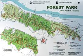 The Overall Map Of Forest Park An Urban Forest Of Over 5000 Acres In Portland Or It Contains Over 80 Miles Of Hiking Forest Park Portland Parks Park Trails