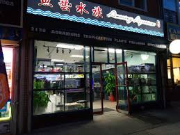 Yow pets is a family owned & operated pet supply store. Amazing Aquarium 2136 86th St Brooklyn Ny 11214 Usa
