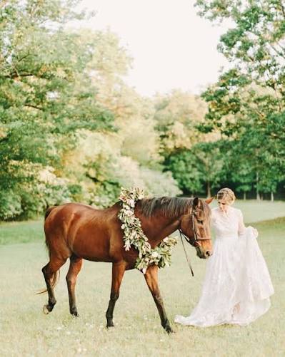 Horse Bridal Portraits — Jessica Zimmerman