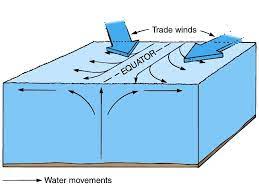 Equatorial Upwelling Process Brings Deep Cold Usually Nutrient Laden Water Toward Surface South Equatorial Curren Ocean Surface Water Movement Oceanography