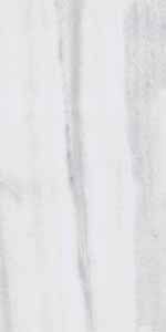 Image result for Cortina White 2017 A1