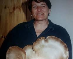 Antunna,funghi di carne, pleurotus ferulae 2 dic 2011. Foto Amarcord Dall Ogliastra Esemplare Di Fungo Da Guinnes Dei Record Trovato A Tertenia Ogliastra Vistanet