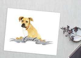 Why you should choose portraitflip? Hand Painted Watercolor Pet Portraits By Feathered Heart Prints