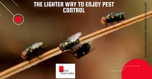 Safe ways to control termite pests around your peoperty! Best Top 10 Pest Control Service In Bangalore Prism Lead India