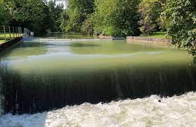 Nicht nur die schwabinger lieben ihn: Eisbach Munchen Abkuhlung Und Baden Im Sommer