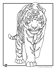 Wild kratts wild cat coloring page. Wild Tiger Coloring Page Woo Jr Kids Activities
