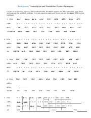 Answer dna transcription and translation worksheet. Transcription And Translation Practice Worksheet 1 Transcription And Translation Practice Worksheet For Each Of The Following Sequences Fill In Course Hero