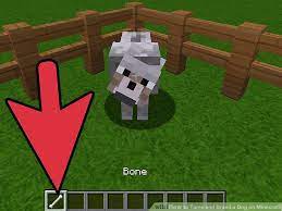 Subscribe to my new channel: Can You Tame A Wolf With Bone Meal Cromalinsupport