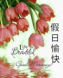 家味韭菜盒- 假日愉快，今天有高麗菜盒子，素食可以，歡迎光臨| Facebook