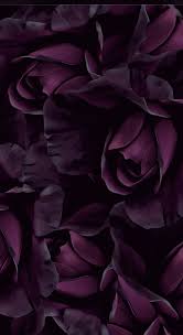Pin By Velvet Gee On Cottage Fruit Colors Purple Flowers Wallpaper Huawei Wallpapers Flower Phone Wallpaper