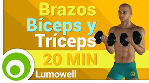 3 ejercicios para el bíceps en casa si no tienes mancuernas ni barras de gimnasio. Ejercicios Para Brazos En Casa Biceps Y Triceps Con Mancuernas Youtube