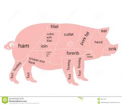 Vector Pork Chart Stock Vector Illustration Of Butchery