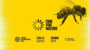 World environment day is held annually to raise awareness and encourage action against the issues threatening our natural world and climate. World Environment Day 2020 Jun 05 2020