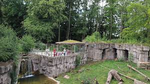 This review is the subjective opinion of a tripadvisor member and not of tripadvisor llc. Zoo Osnabruck Kukuk