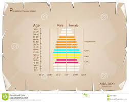 2016 2020 Population Pyramids Graphs With 4 Generation Stock