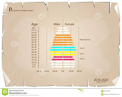 2016 2020 population pyramids graphs with 4 generation stock