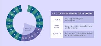 Une fausse couche peut être provoquée par le stress de la mère. Fondements De La Procreation Humaine Info Grossesse