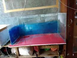 Inilah mengapa memilih yang tepat sangat penting. Berapa Ketebalan Kaca Untuk Membuat Aquarium Binatang Peliharaan