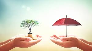 Content updated daily for endowment life insurance. Endowment Plans Vs Term Plans Understanding The Differenceaegon Life Blog Read All About Insurance Investing