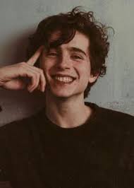 28 Aesthetic and Vintage Timothee Chalamet iPhone Wallpaper Ideas