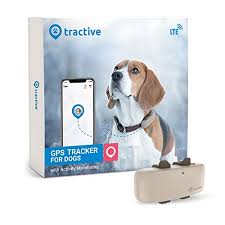 Before you buy a pet gps tracker you must read this. Gps Cat Collar Why Use A Gps Tracker For Your Kitty