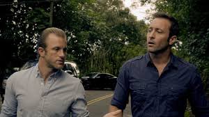Detective steve mcgarrett, a decorated naval officer turned cop, returned to oahu after hawaii's former governor persuaded him to head up the new team: Steve And Danny Together Hawaii Five 0 Season 5 Episode 25 Tv Fanatic