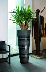 Rien de tel qu'une belle plante dans un pot design comme élément de décoration pour un intérieur très nature ! 21 Idees De Plantes Et Pots Interieur Pots Interieur Plante