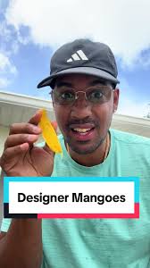 Growing Mango in Georgia