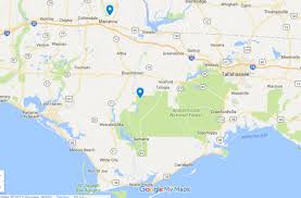 Very nice setting in a long leaf pine and palmetto forest with other trees mixed the hiking and bike trails take you through the pines in the apalachicola national forest and past several wetlands. Camel Lake Camping And Florida Caverns Lindstroms On The Road