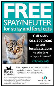 Free Spay Neuter Special This February In Honor Of Spay Neuter Awareness Month Visit Feralcats Com Or Call 503 797 2606 For More Info Feral Cats Great Ads Stop Animal Cruelty
