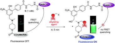 Image result for Alkylating Agent