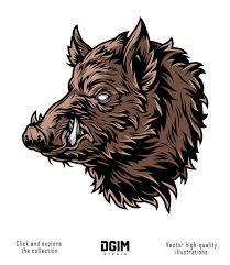 vintage boar head design wild boar boars head dark art illustrations